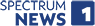 TV Logo