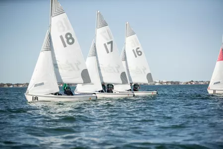 Sail Stu Nelson