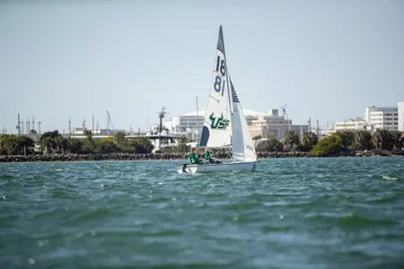 Sail acc