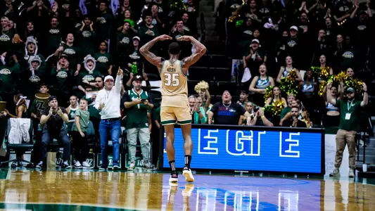 usf mbb