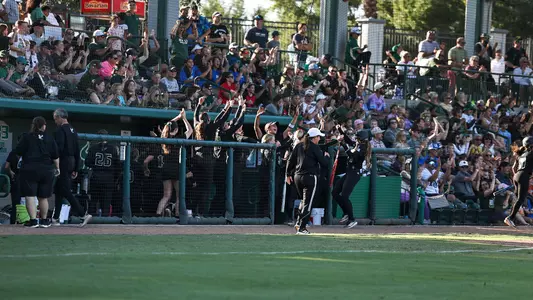 USF Softball dugout celebration vs FAU on Saturday