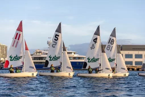 Sailing (2026)