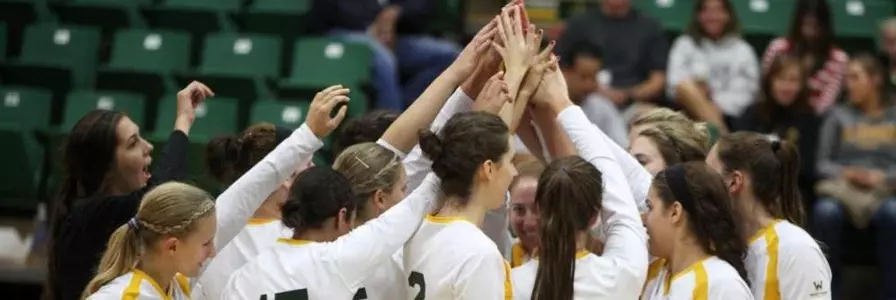 San Francisco Volleyball Adds Eyal Zimet to Coaching Staff Image