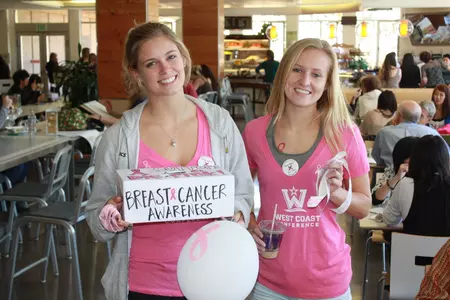 Dig Pink - 2011 VB Alycia Cox and Carly Naramore