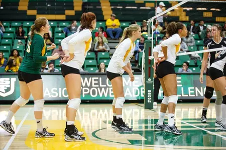 Dons Volleyball Falls to No. 25 Saint Mary's Image