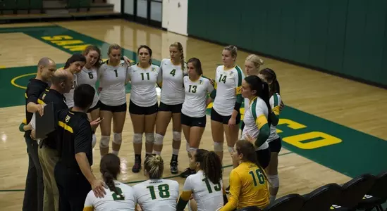 2013 USF Volleyball