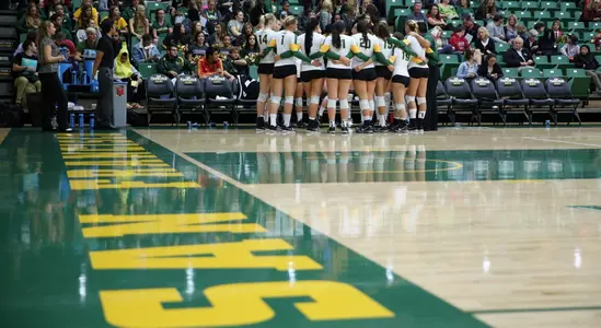 2013 USF Volleyball
