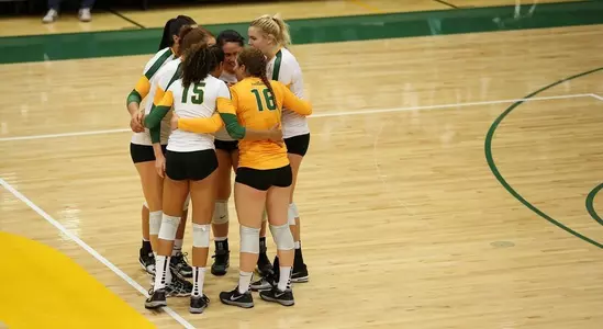 2013 USF Volleyball