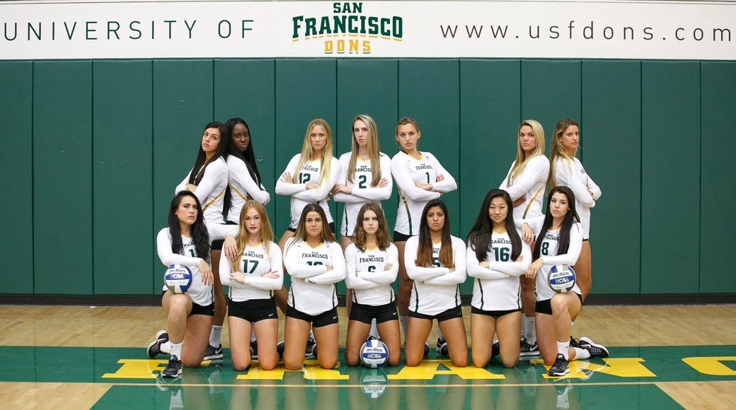 2015 volleyball