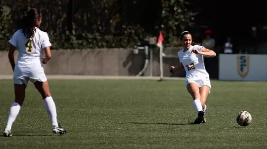 Ali Schaffer Action vs. Hawaii 2015