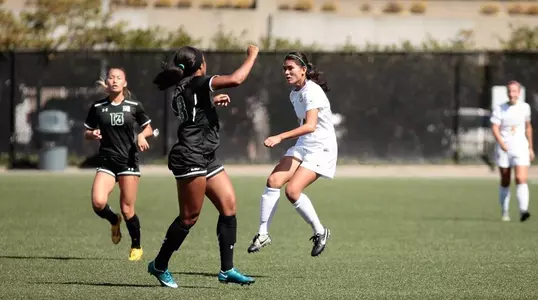 Camille Wilson Action vs. Hawaii 2015