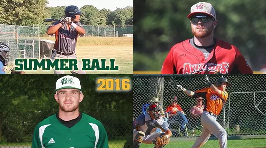 Summer Ball 2016 Update