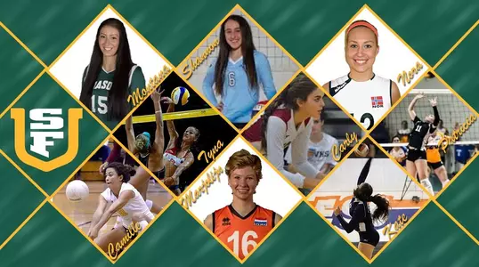 2016 volleyball - newcomers