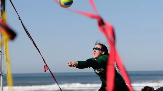 Shannon Levinson 2017