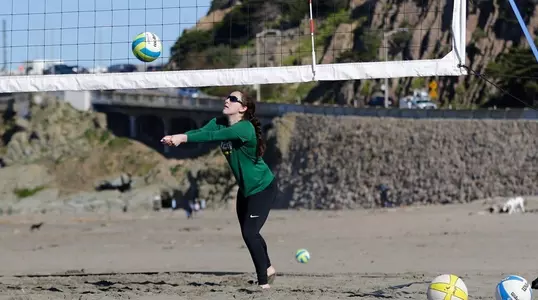 Shannon Levinson 2017