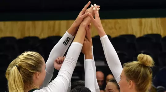 USF Women's Volleyball