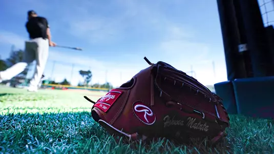 Baseball glove 2-22-2019