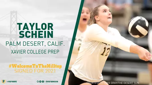 Taylor Schein NLI