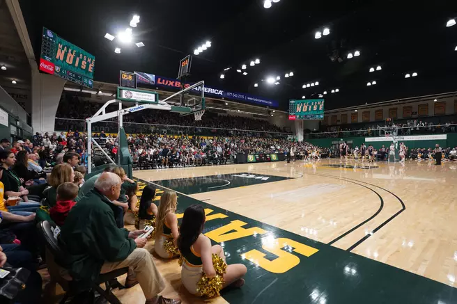 Fan Experience and Marketing