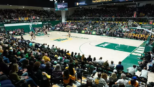 USF Court