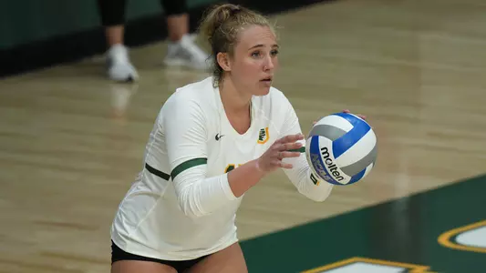 Isadora Nicolai Pre Serve