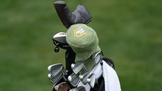 Golf Clubs
