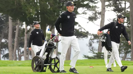 Svante Palmgren Walking