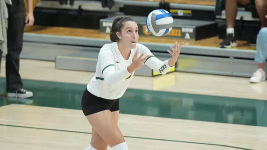 Letizia Aquilino Serving