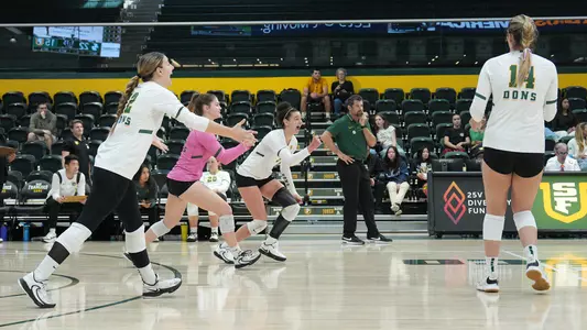 Volleyball celebrating a point