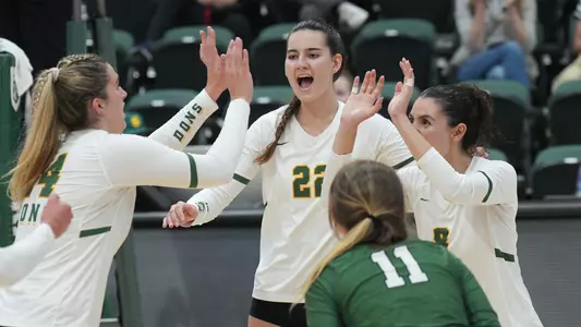 Volleyball Celebration