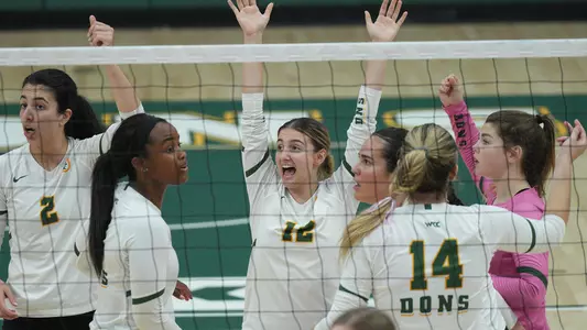 Volleyball celebration