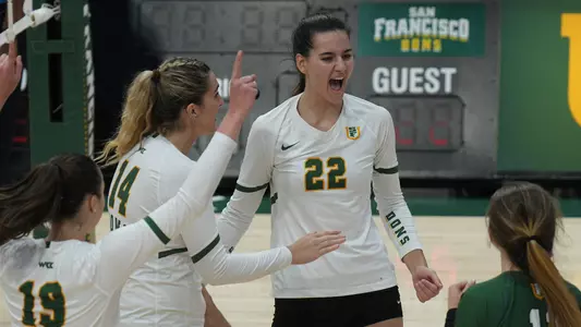 Volleyball Celebration