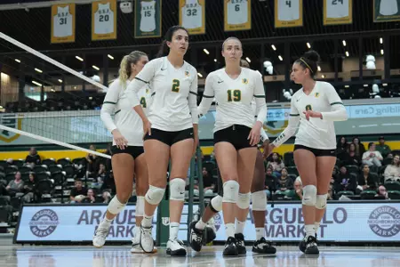 Volleyball Group Shot