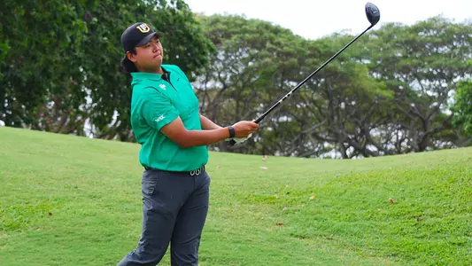 Brian Park Swing in Hawai'i