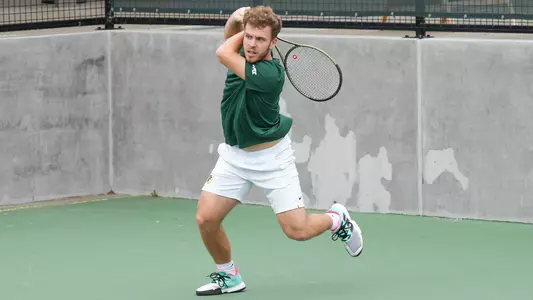 Moritz Hoffman Swing at Golden Gate Park