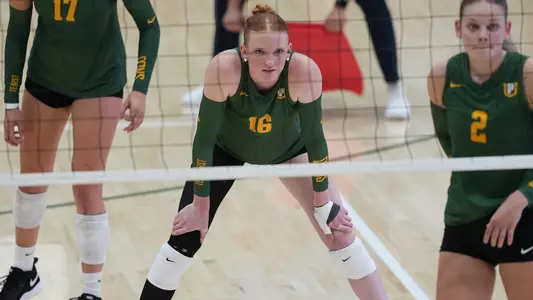 Maeve Bailey Looking On