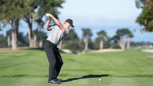 Henry Styles Swing Fall 2024