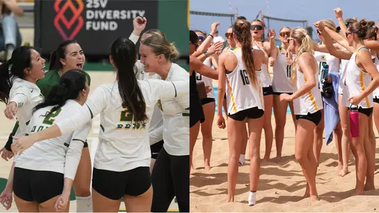 AVCA Team Academic Award