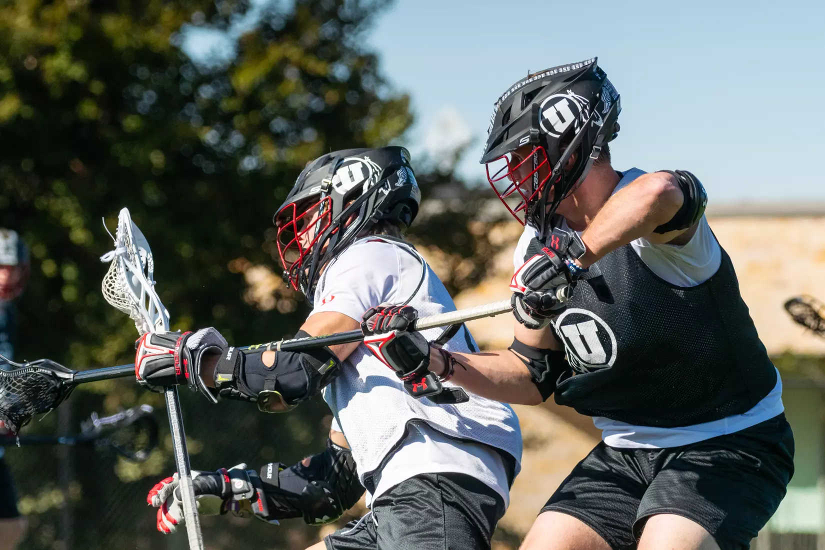 Utah Lacrosse plays in Red/White Game, Oct. 5, 2019