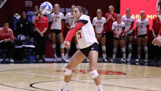 Bri Doehermann