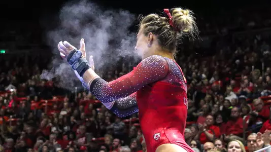 Lewis_Tiffani_vs. Michigan 2017