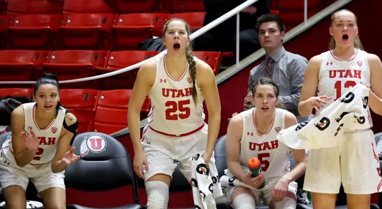 WBB Bench - Nevada