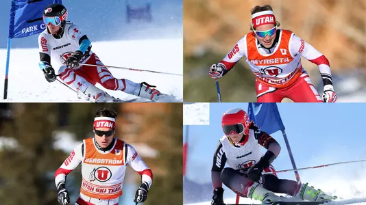 RMISA Banner - Endre Bjertness, Myrete Myrseth, Martin Bergstroem, Roni Remme