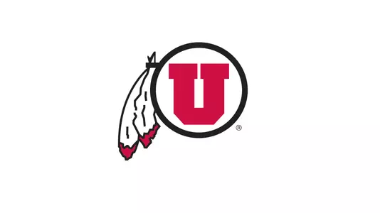 circle and feather banner