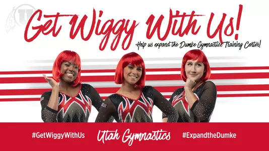 get wiggy campaign 2018
