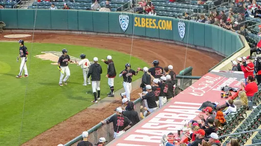 Team Smith's Ballpark