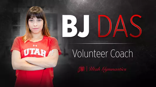 das_bj_graphic