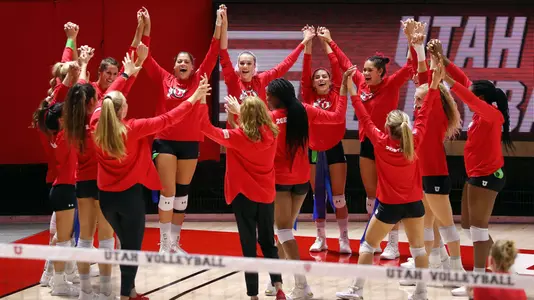 VB Team