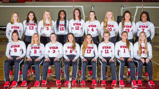 VB Team