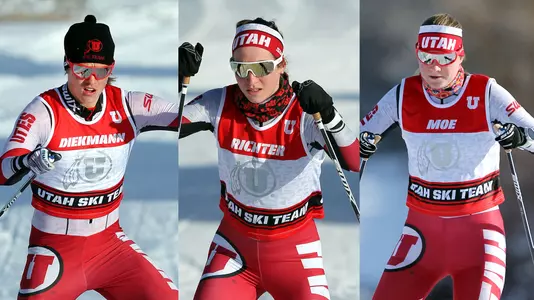 Ski Banner Richter, Diekmann, Moe